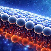9th Czech lipidomics and metabolomics conference