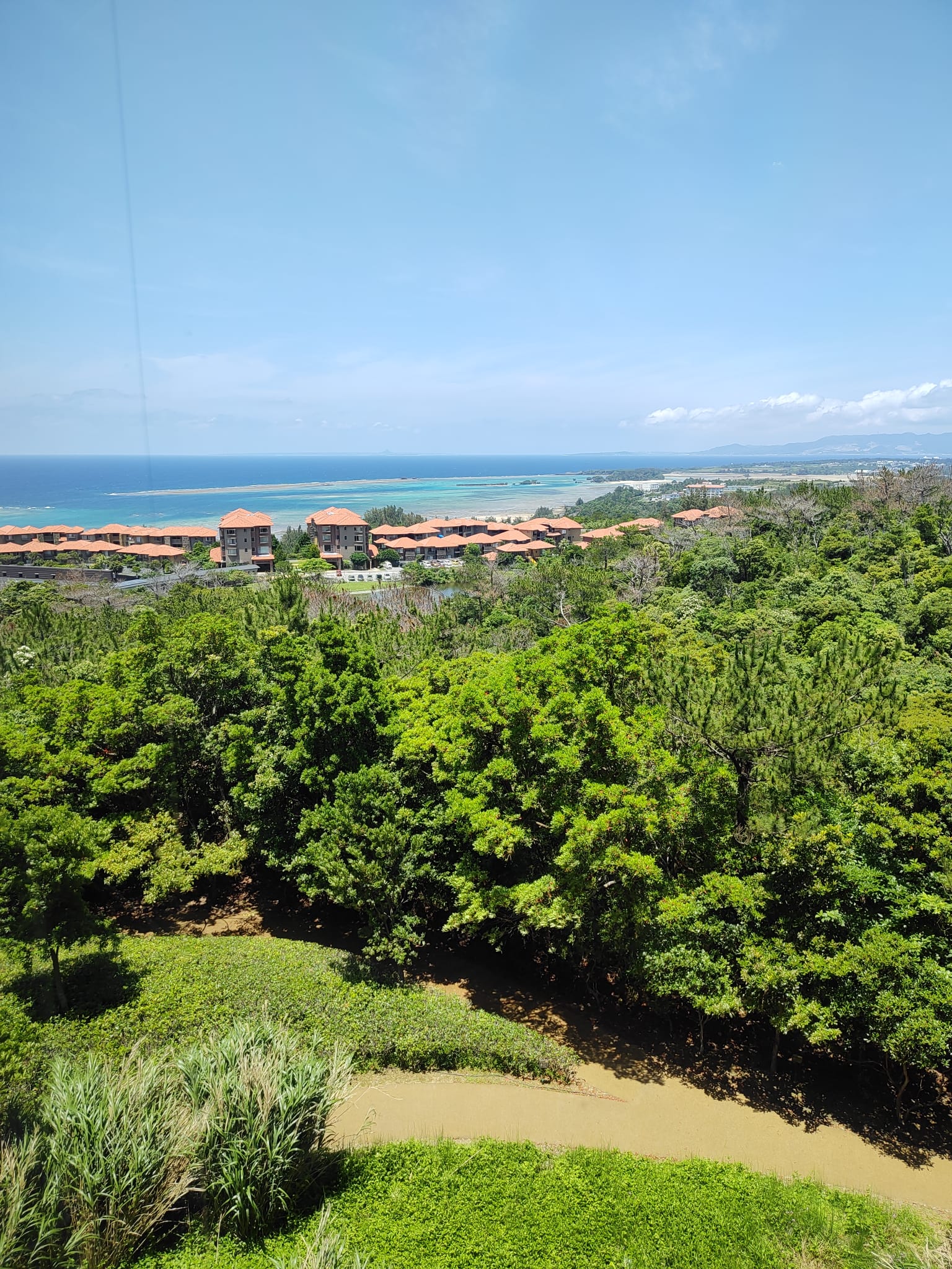 Výhled z kantýny OIST, v pozadí ubytování pro studenty a zaměstnance