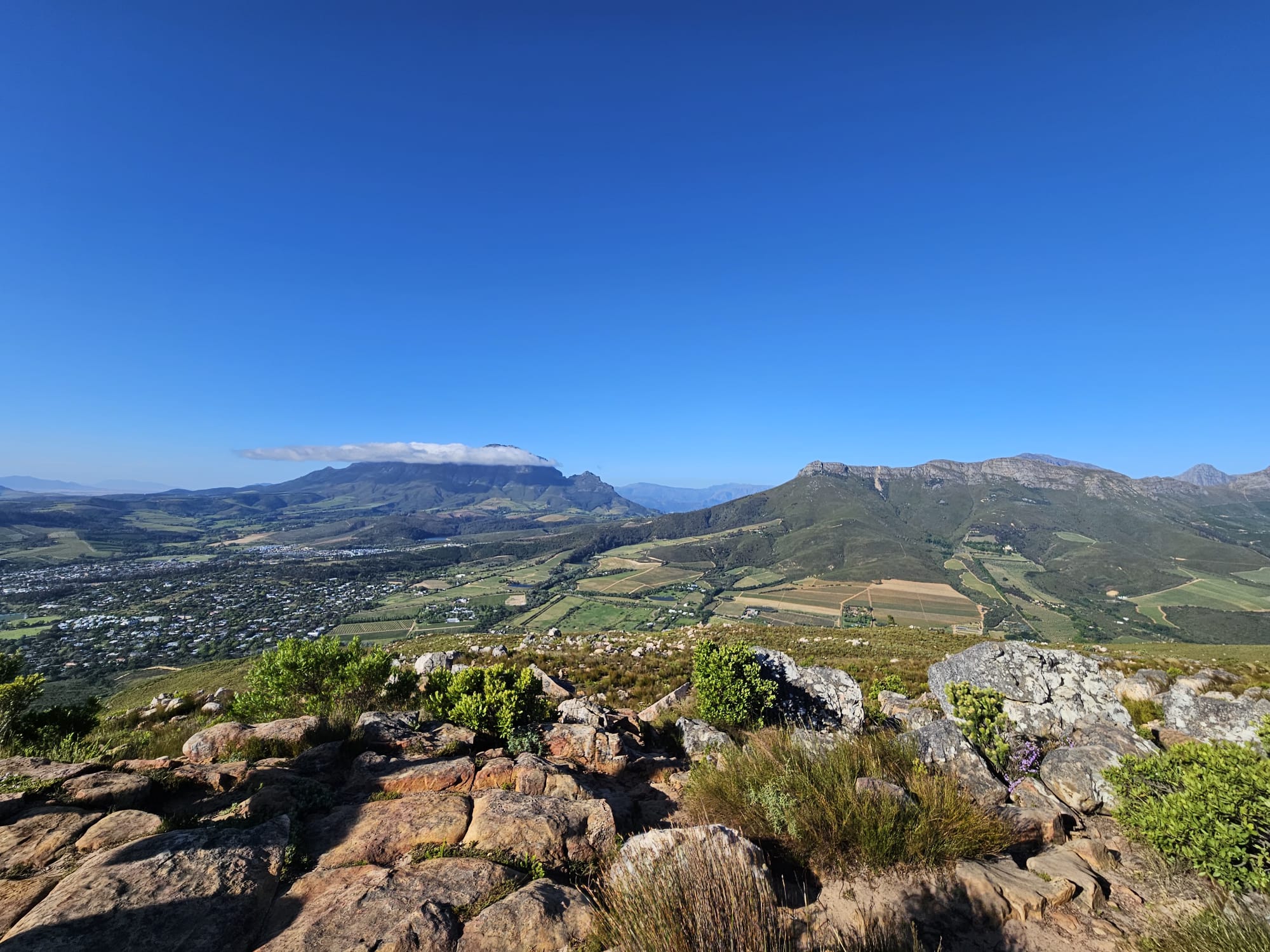 Výhled z úpatí Stellenbosch berg na část Stellenbosche vlevo dole a Simonberg vlevo nahoře